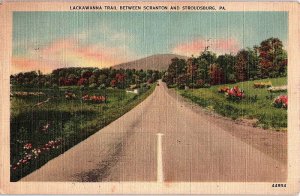 Postcard ROAD SCENE Between Scranton & Stroudsburg Pennsylvania PA AJ3447