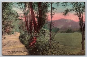 Hand Colored  Windsor  Vermont  Wilson Road  Postcard