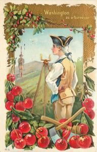 Artist impression 1911 Occupation President surveyor Cherries postcard 356