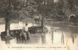 France Mourmelon Le Grand Le Pont du Berger Horse Postcard 03.96