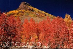 Colorado Spectacular Red Aspen