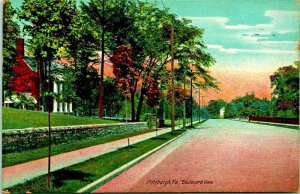 Boulevard View Near 5th Avenue Pittsburg PA Pennsylvania 1910 DB Postcard