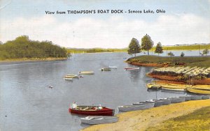 Thompson's Boat Dock Seneca Lake, Ohio OH Postcard