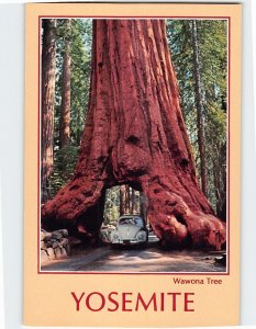 Postcard Wawona Tree, Yosemite National Park, Fish Camp, California