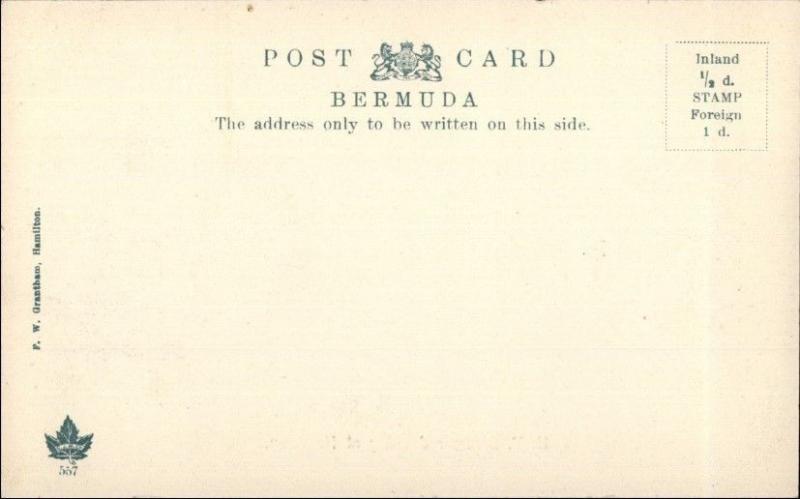 Hamilton Bermuda NY Steamer Ship Docking c1905 UDB Postcard