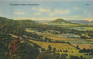 Conyngham Valley Pennnsylvania~Birdseye Farms~1940s Linen Postcard