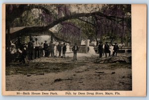c1910's Bath House Dees Park Drug Store Mayo Florida FL Antique Postcard