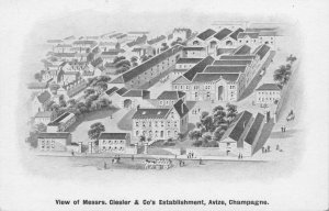 Plymouth Ciesler & Co Wine Champagne Factory Old Advertising OP Postcard