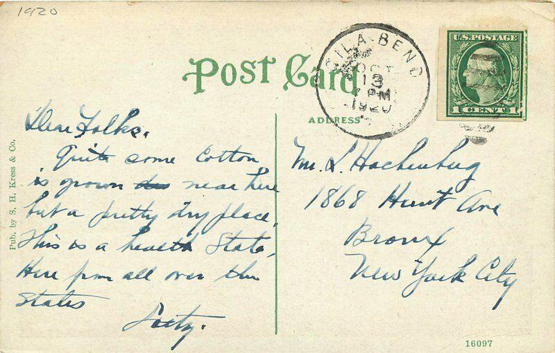 Flag 1920s Monroe School Phoenix Arizona Postcard Kress 3377