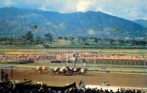 CA - Arcadia. Santa Anita Park, Horse Racing