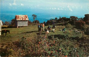 Jamaica Blue Mountain Peak BWI Caribbean Postcard