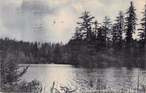 ILWACO WASHINGTON~BLACK LAKE ~H A VINCENT PHOTO POSTCARD 1907 PMK