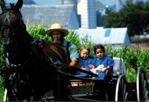 Pennsylvania Amish Country Amish Father and Two Daughters Riding In Courting ...