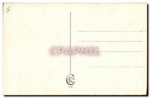 Old Postcard Cat Cats Kitten