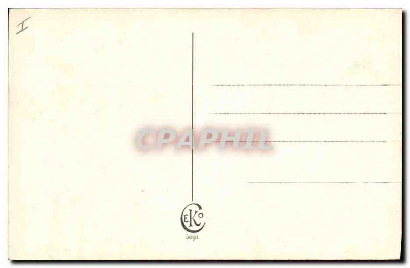 Old Postcard Cat Cats Kitten