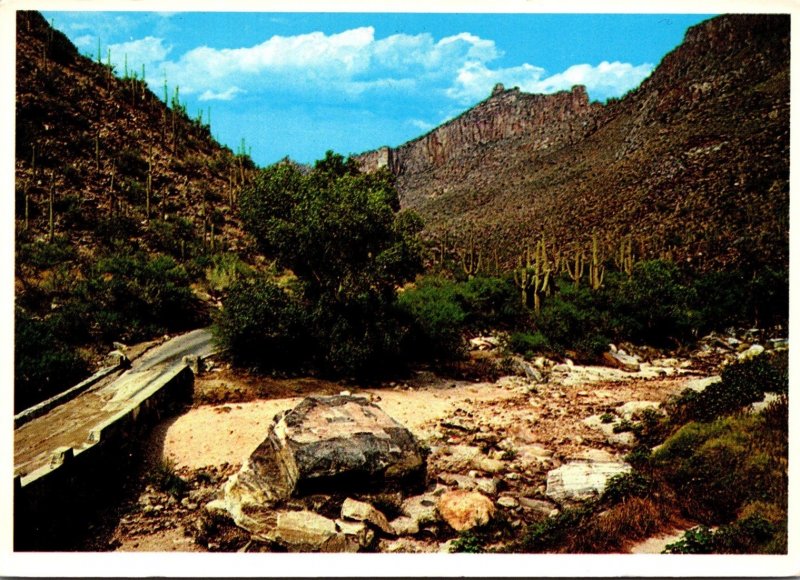 Arizona Tucson Sabino Canyon