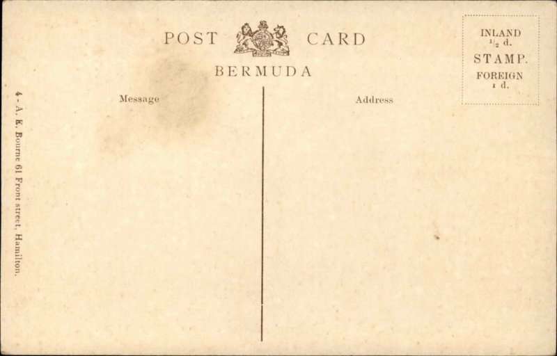 Hamilton Bermuda Onion Shipping Scene Front Street c1910 Vintage Postcard