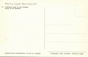 saudi arabia, Cultivated Areas at the Southern Region of the Kingdom (1960s)