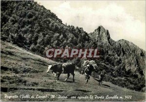 Postcard Modern Pugnetto (Lanzo) Il Piano Con Sfondo Punta Lunelle m 1472 Fol...