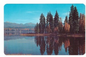 Seeley Lake, Swan Valley, Montana, Vintage Chrome Postcard