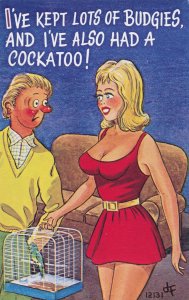 Budgie Cockatoo Bird Cage as Pets Sexy Lady Owner Comic Postcard