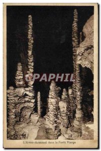 Postcard Old Caves L & # 39Aven Armand in the Virgin Forest