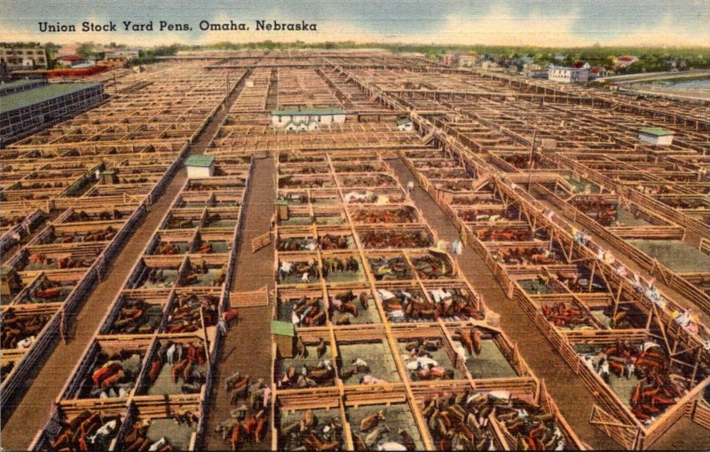 Nebraska Omaha The Union Stock Yard Pens