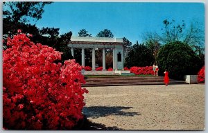 Postcard Mobile Alabama AL Memorial Park 1950s Chrome Vtg Scenic Classic