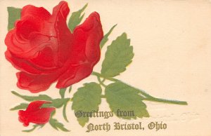 F60/ North Bristol Ohio Postcard c1910 Flowers Greetings from