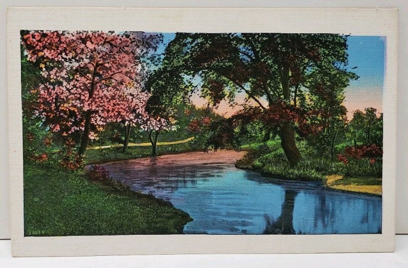 Art Series 1029 Colorful Trees on the Water 36035 Postcard A7