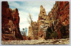 Ashley National Forest Utah~Tower Rock Sheep Creek Canyon~Vintage Postcard