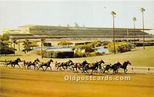  Inglewood, California, CA, USA Horse Racing Postcard Western Harness Racing,...