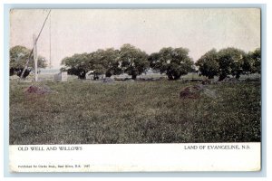 1913 Old Well and Willows Land of Evangeline Nova Scotia Canada Postcard 