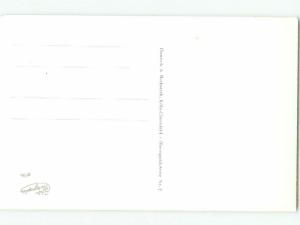 old rppc NICE VIEW Cologne - Koln Germany i2785