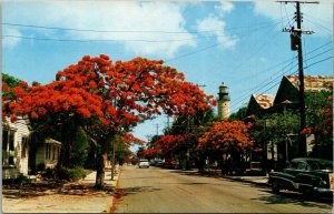 Florida Key West Simonton Street With Lighthouse In Background