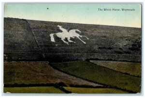 c1910 The White Horse Weymouth Dorset England Posted Antique Postcard