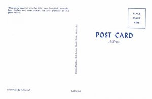 Postcard MOUNTAIN SCENE Scottsbluff Nebraska NE AU2429