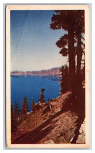 Crater Lake National Park Oregon OR Linen Postcard Y9