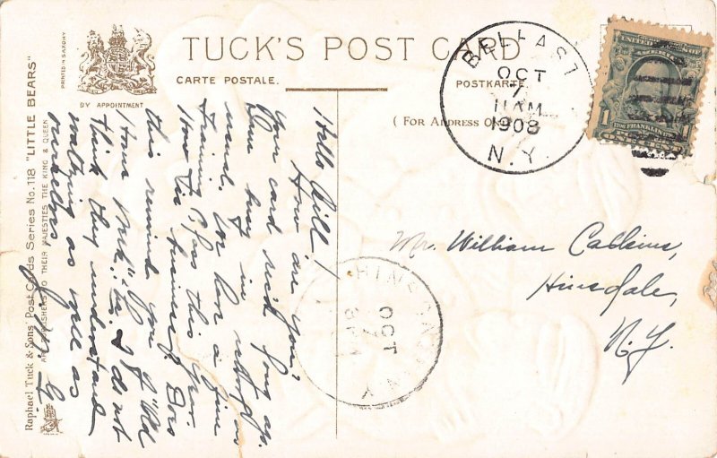 Anthropomorphic Humanized Ice Bers Beautifully Skate 1908 embossed postcard B886