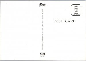 Arizona is for Lovers Petley Postcard