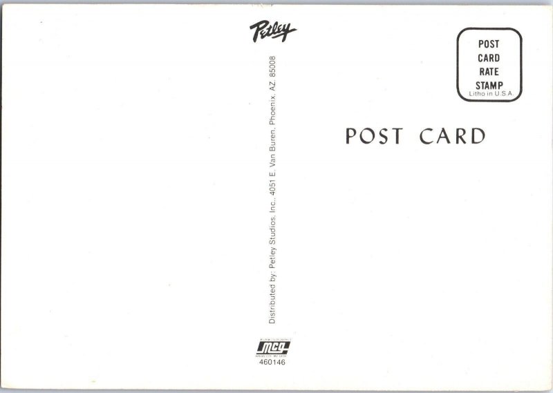 Arizona is for Lovers Petley Postcard