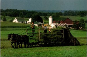 Ohio Amish Country Farm Scene Making Hay