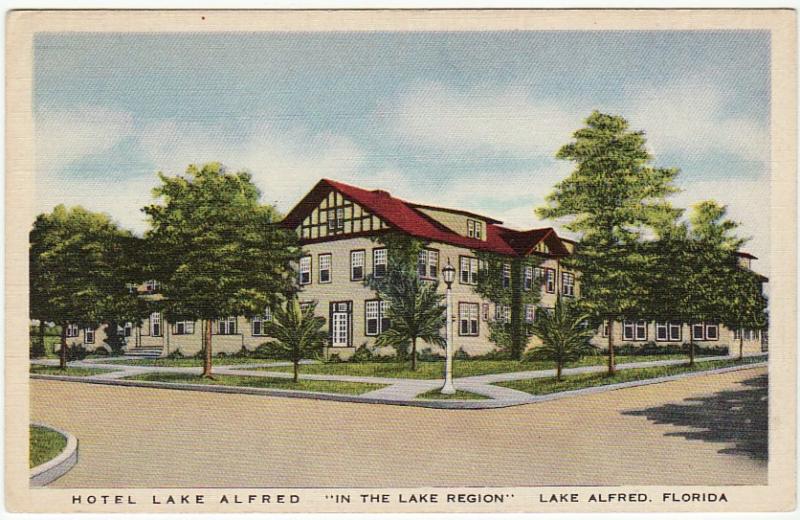 FL  LAKE ALFRED   HOTEL LAKE ALFRED  linen postcard