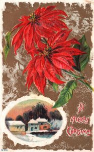 Vintage Postcard A Merry Christmas Greetings Card! Poinsettia Red Flowers Winter