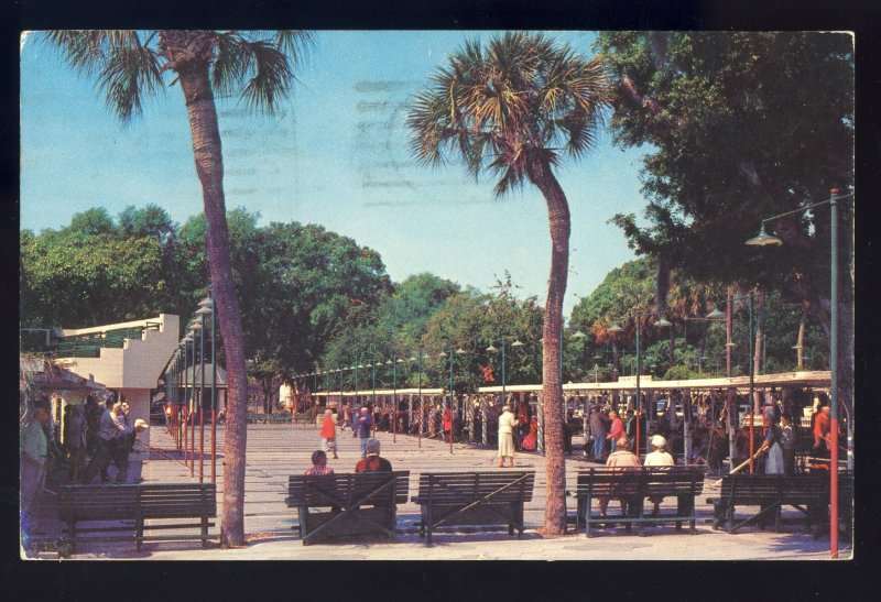 St Petersburg, Florida/FL Postcard, Mirror Lake Shuffleboard Courts, 1960!