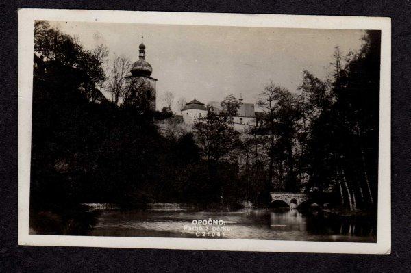 Czechoslovakia Partie z parku Opocno Postcard Real Photo RPPC RP Ceskoslovensko