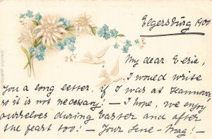A092 Greetings 1900  edelweiss and forget-me-not flowers Doves letter postcard