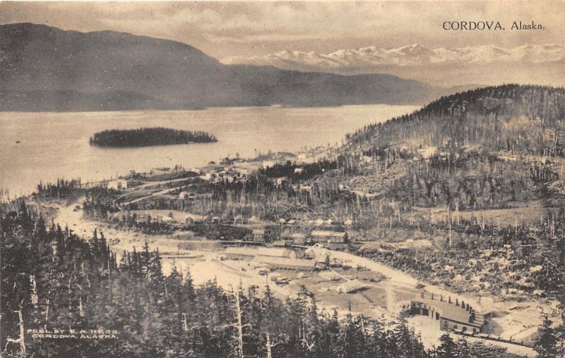 Cordova Alaska Bird's Eye View~Houses & Bldgs~Bay & Mountains Bknd~Albertype Pc