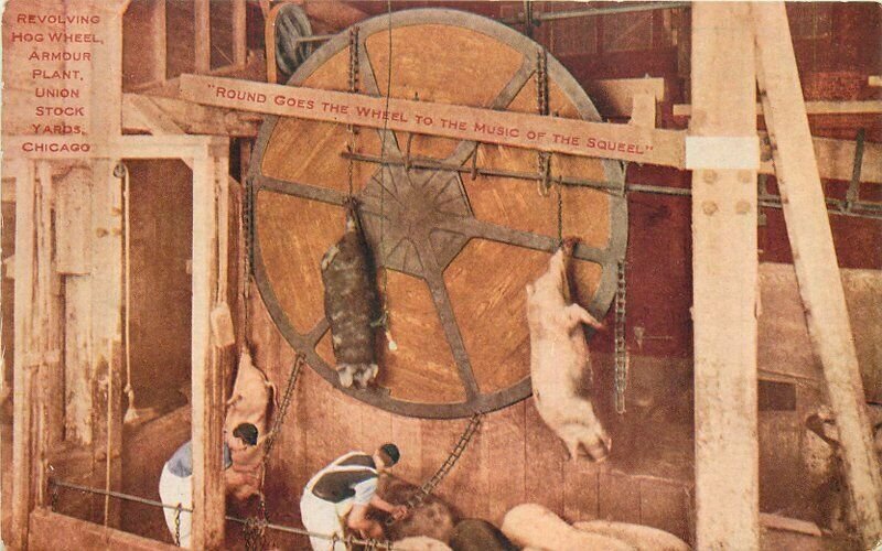 Chicago Illinois Hog Slaughter Wheel Hammon Farm Industry c1910 Postcard13802