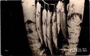 Real Photo Postcard Fishing Catch Lake Margrethe in Grayling, Michigan